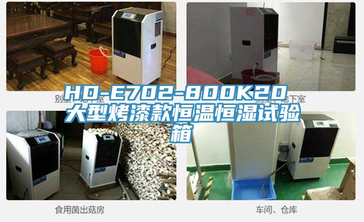 HD-E702-800K20 大型烤漆款恒溫恒濕試驗(yàn)箱