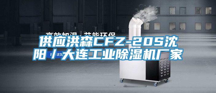 供應(yīng)洪森CFZ-20S沈陽(yáng)／大連工業(yè)除濕機(jī)廠家