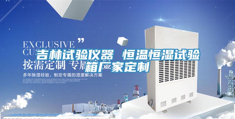 吉林試驗(yàn)儀器 恒溫恒濕試驗(yàn)箱廠家定制
