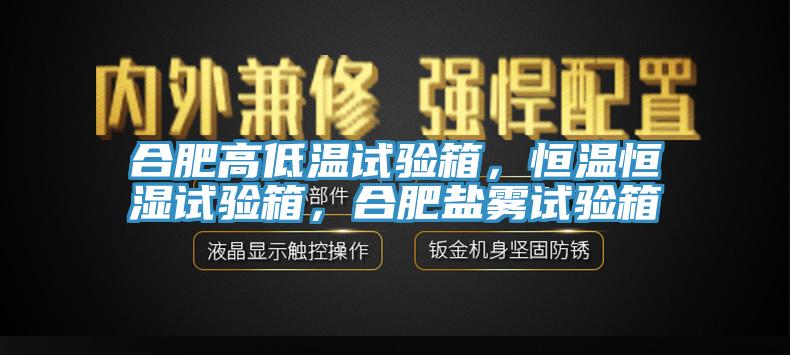 合肥高低溫試驗(yàn)箱，恒溫恒濕試驗(yàn)箱，合肥鹽霧試驗(yàn)箱