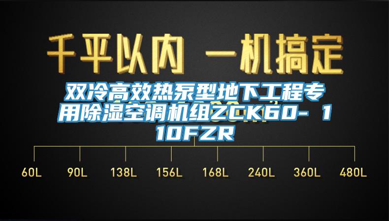 雙冷高效熱泵型地下工程專用除濕空調(diào)機(jī)組ZCK60- 110FZR