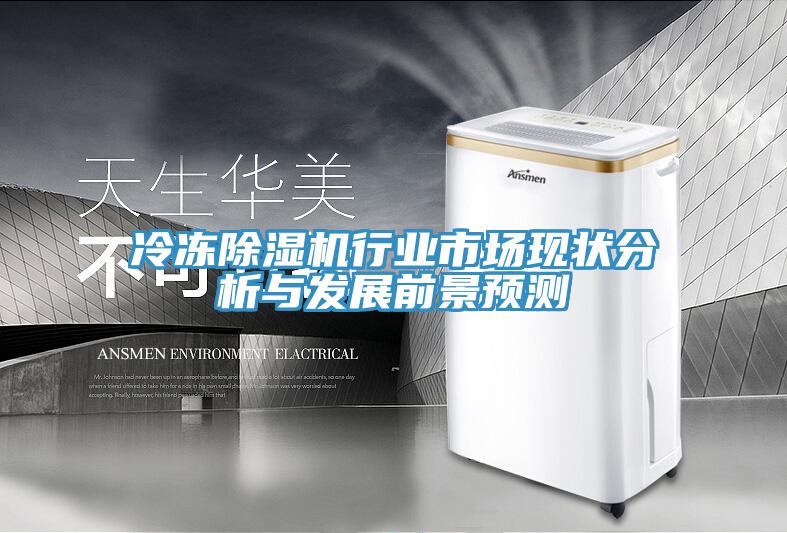 冷凍除濕機(jī)行業(yè)市場(chǎng)現(xiàn)狀分析與發(fā)展前景預(yù)測(cè)