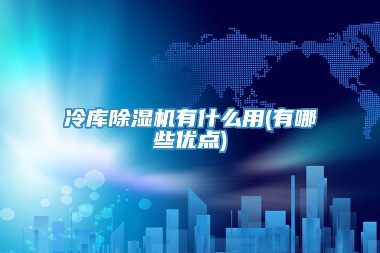 冷庫除濕機有什么用(有哪些優(yōu)點)