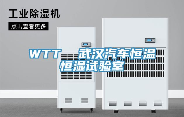 WTT  武漢汽車恒溫恒濕試驗室