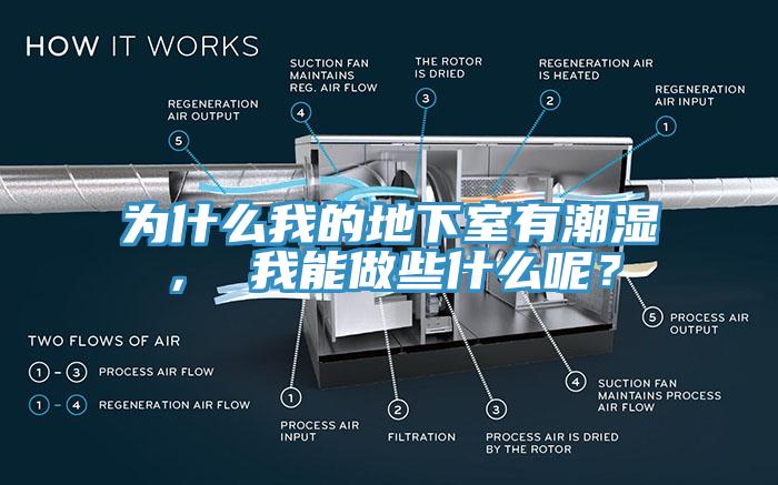 為什么我的地下室有潮濕， 我能做些什么呢？
