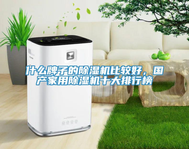 什么牌子的除濕機(jī)比較好，國產(chǎn)家用除濕機(jī)十大排行榜