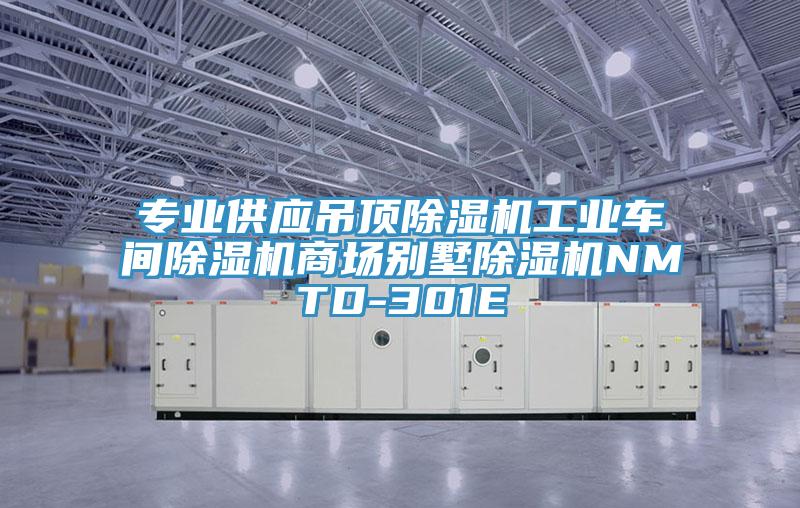 專業(yè)供應(yīng)吊頂除濕機(jī)工業(yè)車間除濕機(jī)商場(chǎng)別墅除濕機(jī)NMTD-301E