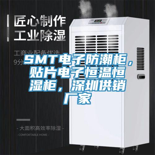 SMT電子防潮柜，貼片電子恒溫恒濕柜，深圳供銷廠家