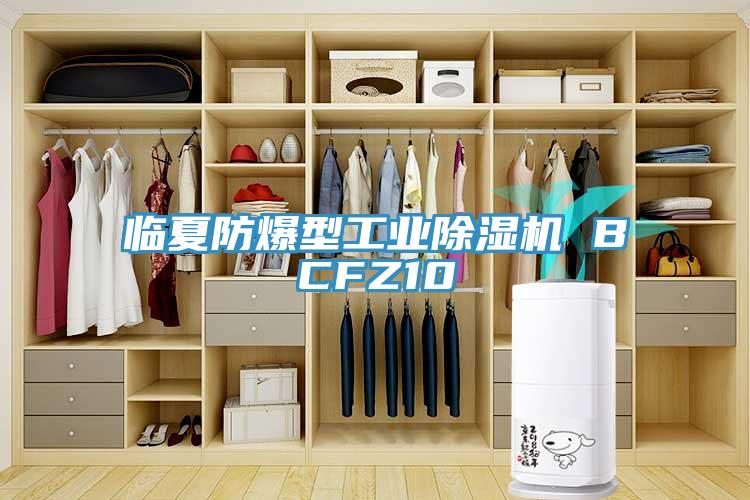 臨夏防爆型工業(yè)除濕機(jī) BCFZ10