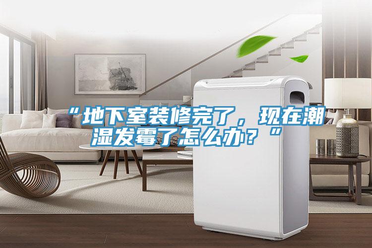 “地下室裝修完了，現(xiàn)在潮濕發(fā)霉了怎么辦？”
