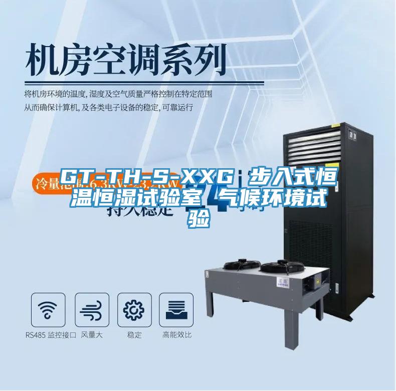 GT-TH-S-XXG 步入式恒溫恒濕試驗(yàn)室 氣候環(huán)境試驗(yàn)