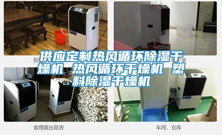 供應(yīng)定制熱風循環(huán)除濕干燥機 熱風循環(huán)干燥機 塑料除濕干燥機