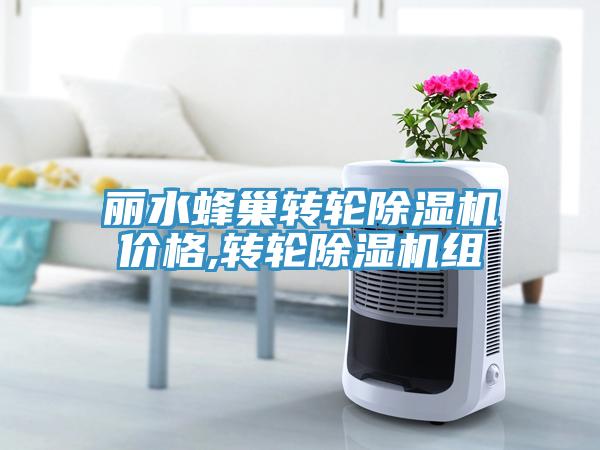 麗水蜂巢轉輪除濕機價格,轉輪除濕機組
