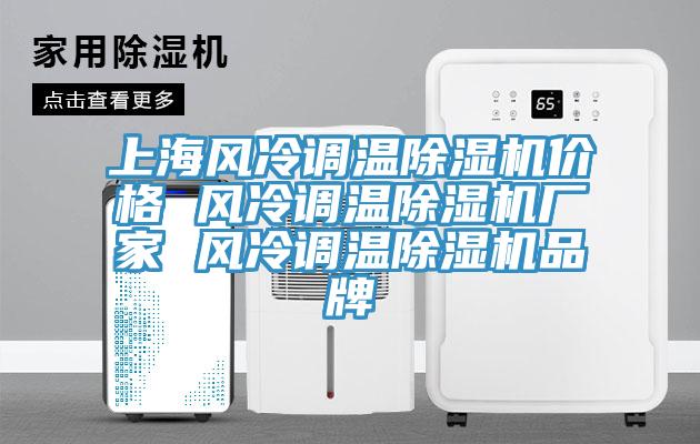 上海風(fēng)冷調(diào)溫除濕機(jī)價格 風(fēng)冷調(diào)溫除濕機(jī)廠家 風(fēng)冷調(diào)溫除濕機(jī)品牌