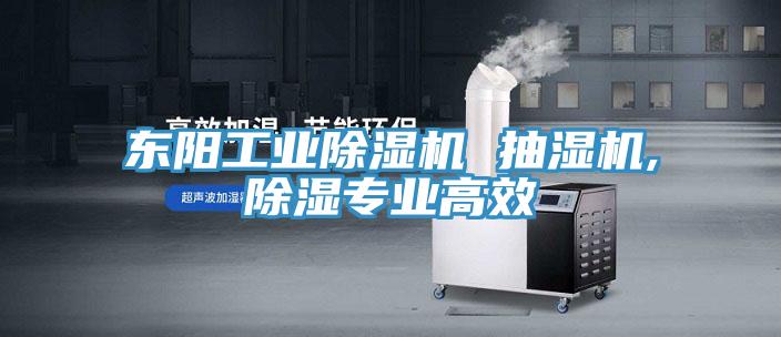 東陽工業(yè)除濕機(jī) 抽濕機(jī),除濕專業(yè)高效