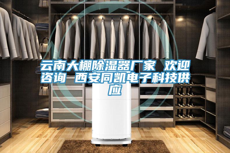 云南大棚除濕器廠(chǎng)家 歡迎咨詢(xún) 西安同凱電子科技供應(yīng)