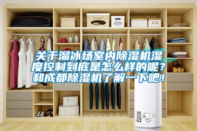 關(guān)于溜冰場(chǎng)室內(nèi)除濕機(jī)濕度控制到底是怎么樣的呢？和成都除濕機(jī)了解一下吧！