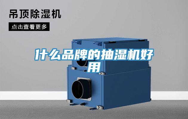 什么品牌的抽濕機(jī)好用