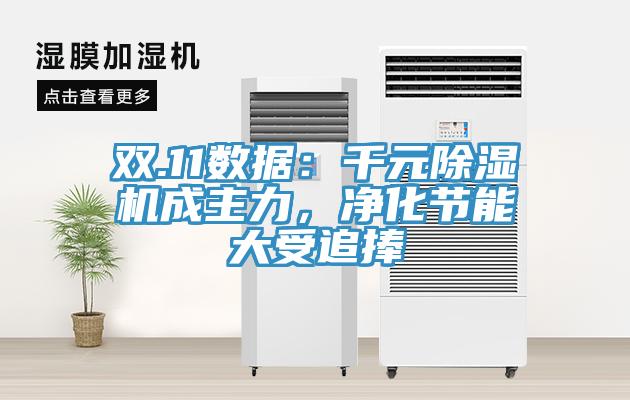 雙.11數(shù)據(jù)：千元除濕機(jī)成主力，凈化節(jié)能大受追捧