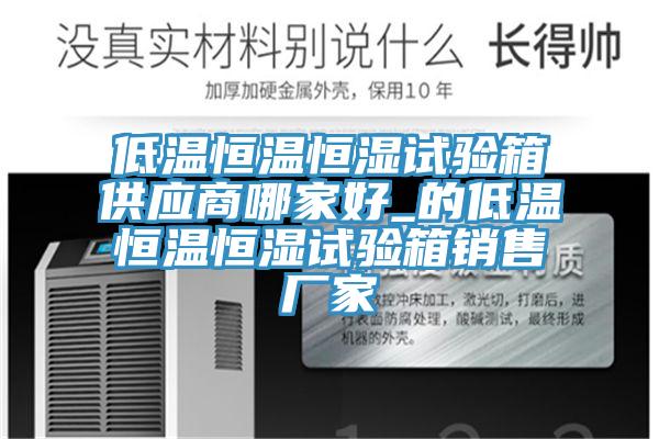 低溫恒溫恒濕試驗(yàn)箱供應(yīng)商哪家好_的低溫恒溫恒濕試驗(yàn)箱銷售廠家