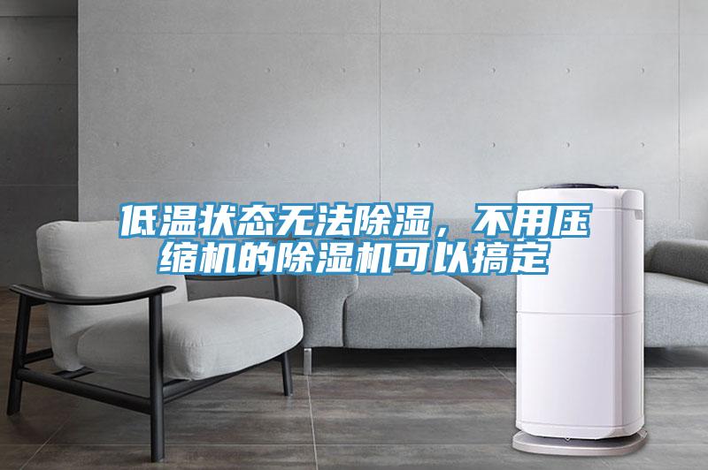 低溫狀態(tài)無(wú)法除濕，不用壓縮機(jī)的除濕機(jī)可以搞定