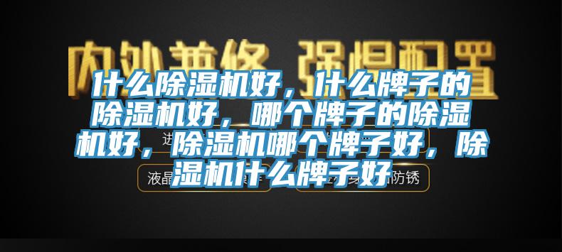 什么除濕機好，什么牌子的除濕機好，哪個牌子的除濕機好，除濕機哪個牌子好，除濕機什么牌子好