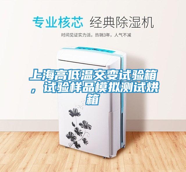 上海高低溫交變試驗箱，試驗樣品模擬測試烘箱