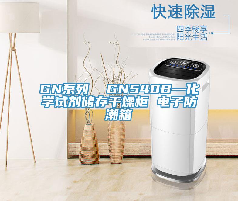 GN系列  GN540B—化學(xué)試劑儲(chǔ)存干燥柜 電子防潮箱