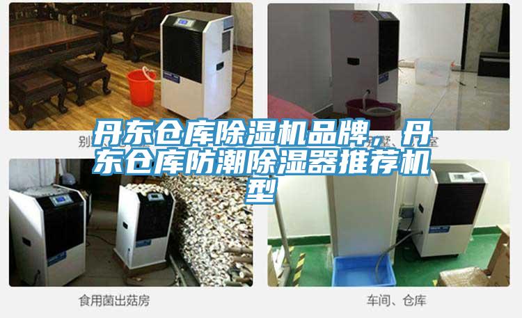 丹東倉(cāng)庫(kù)除濕機(jī)品牌，丹東倉(cāng)庫(kù)防潮除濕器推薦機(jī)型