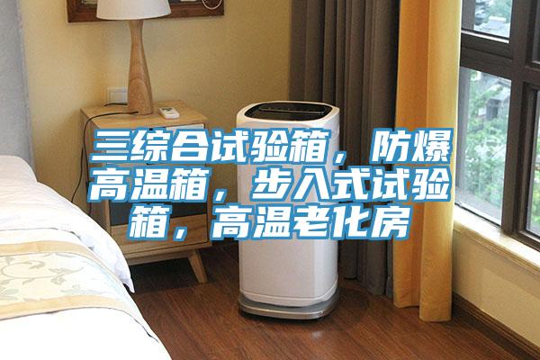 三綜合試驗(yàn)箱，防爆高溫箱，步入式試驗(yàn)箱，高溫老化房