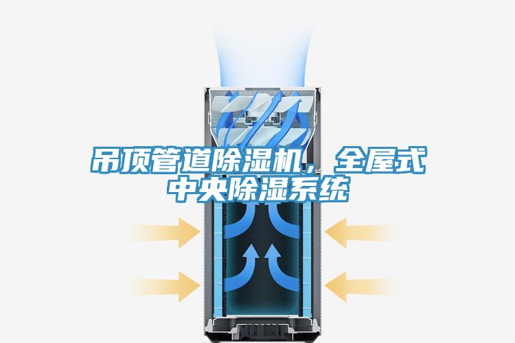 吊頂管道除濕機(jī)，全屋式中央除濕系統(tǒng)