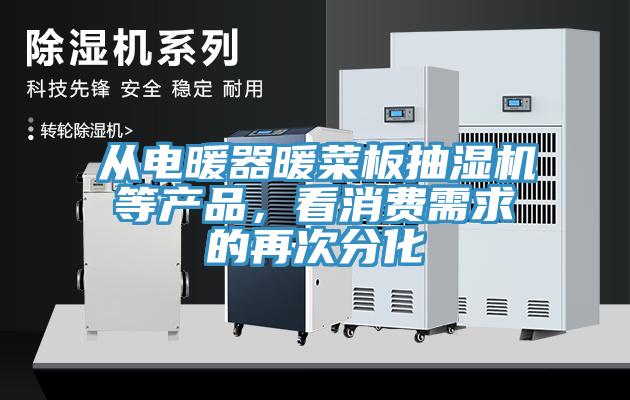 從電暖器暖菜板抽濕機(jī)等產(chǎn)品，看消費(fèi)需求的再次分化