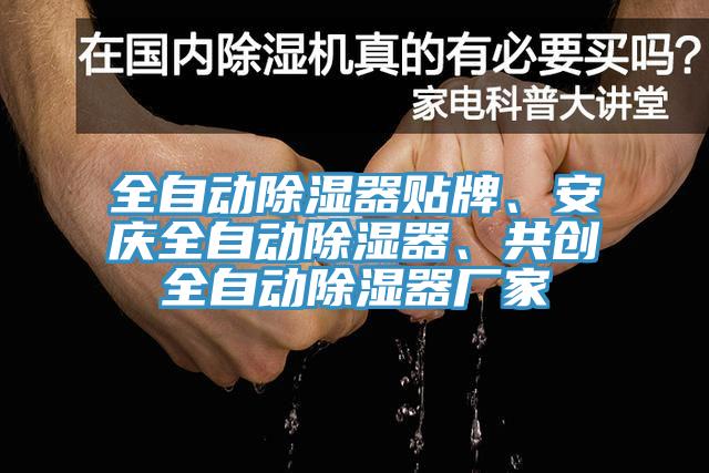 全自動除濕器貼牌、安慶全自動除濕器、共創(chuàng)全自動除濕器廠家