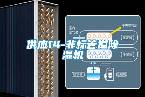 供應(yīng)14-非標管道除濕機