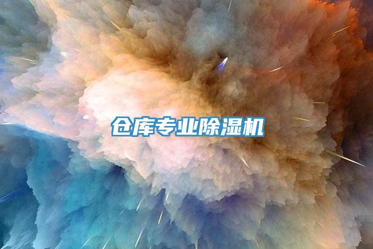 倉庫專業(yè)除濕機