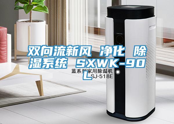 雙向流新風 凈化 除濕系統(tǒng) SXWK-90L