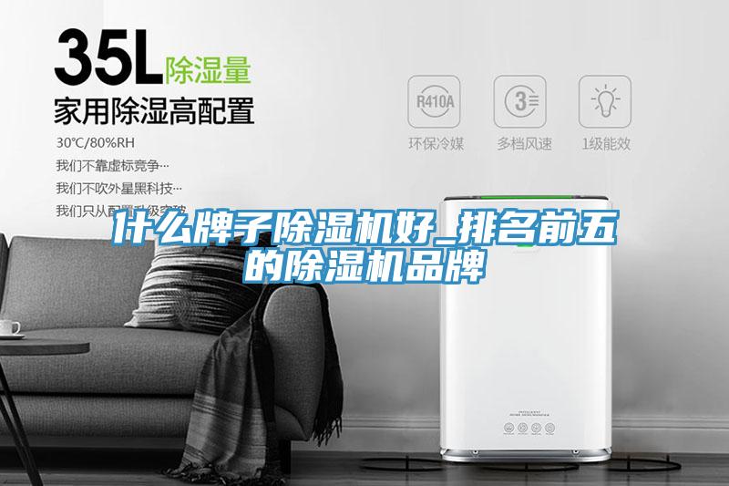 什么牌子除濕機(jī)好_排名前五的除濕機(jī)品牌