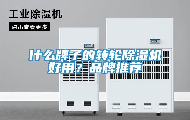 什么牌子的轉(zhuǎn)輪除濕機(jī)好用？品牌推薦