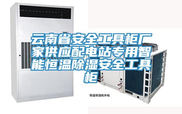 云南省安全工具柜廠(chǎng)家供應(yīng)配電站專(zhuān)用智能恒溫除濕安全工具柜