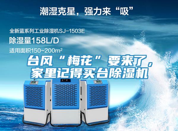 臺風“梅花”要來了，家里記得買臺除濕機