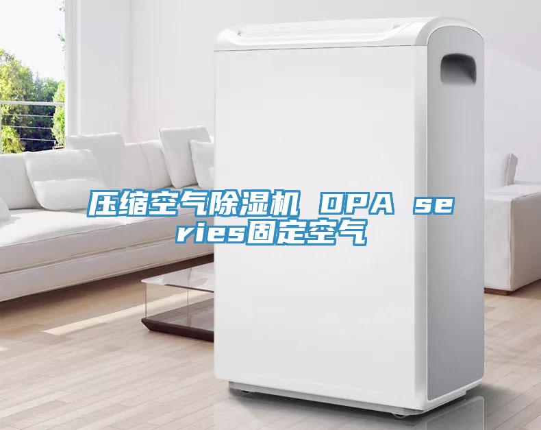 壓縮空氣除濕機(jī) DPA series固定空氣