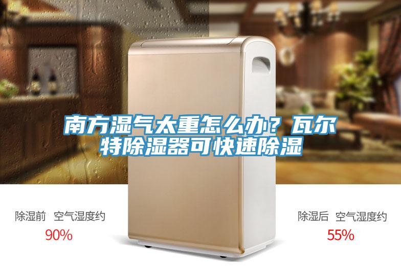 南方濕氣太重怎么辦？瓦爾特除濕器可快速除濕