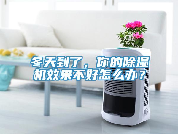 冬天到了，你的除濕機效果不好怎么辦？