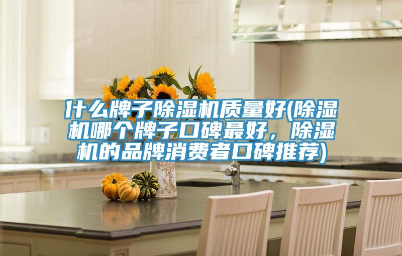 什么牌子除濕機(jī)質(zhì)量好(除濕機(jī)哪個牌子口碑最好，除濕機(jī)的品牌消費(fèi)者口碑推薦)
