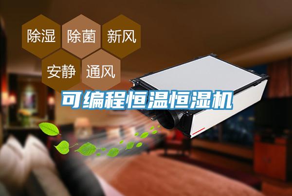 可編程恒溫恒濕機