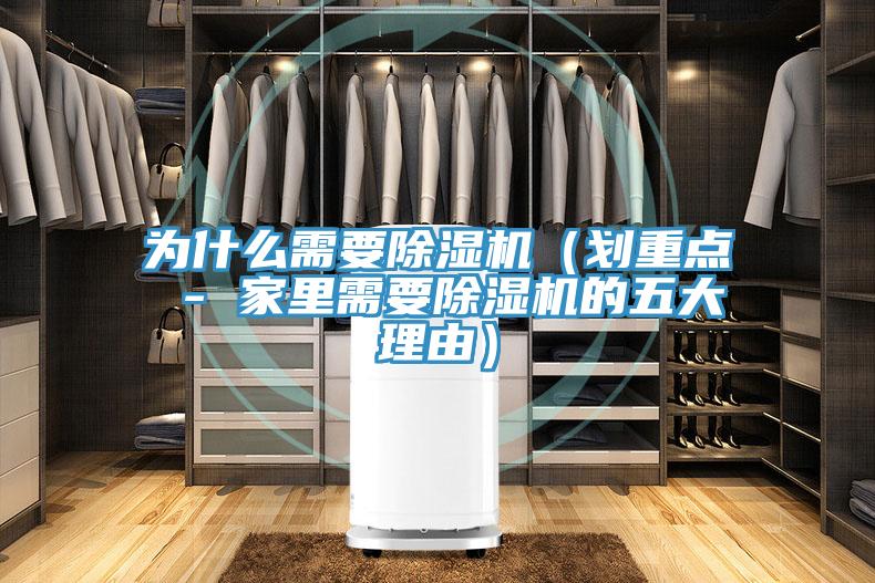 為什么需要除濕機(jī)（劃重點(diǎn) - 家里需要除濕機(jī)的五大理由）