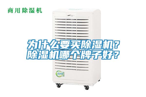 為什么要買除濕機？除濕機哪個牌子好？