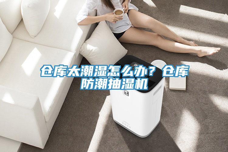 倉庫太潮濕怎么辦？倉庫防潮抽濕機(jī)