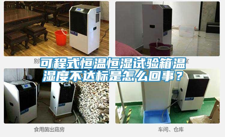 可程式恒溫恒濕試驗(yàn)箱溫濕度不達(dá)標(biāo)是怎么回事？