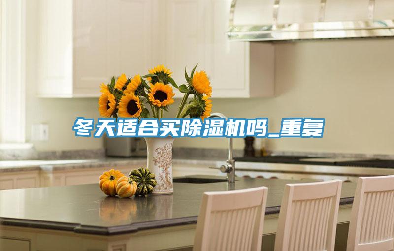 冬天適合買除濕機嗎_重復(fù)
